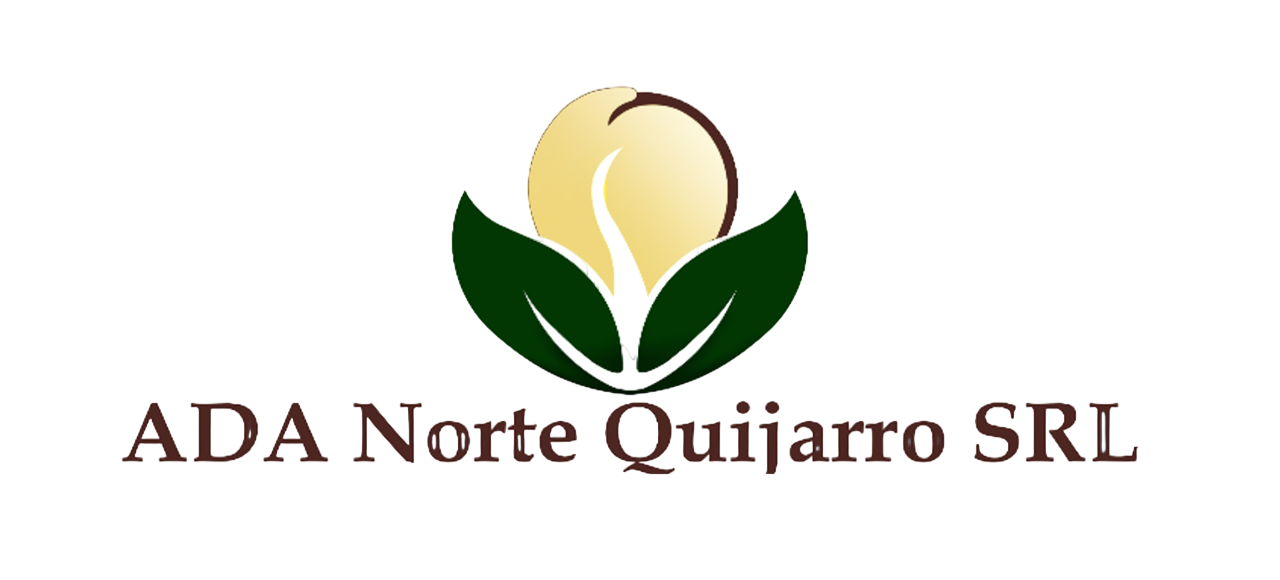 adanortequijarro.com